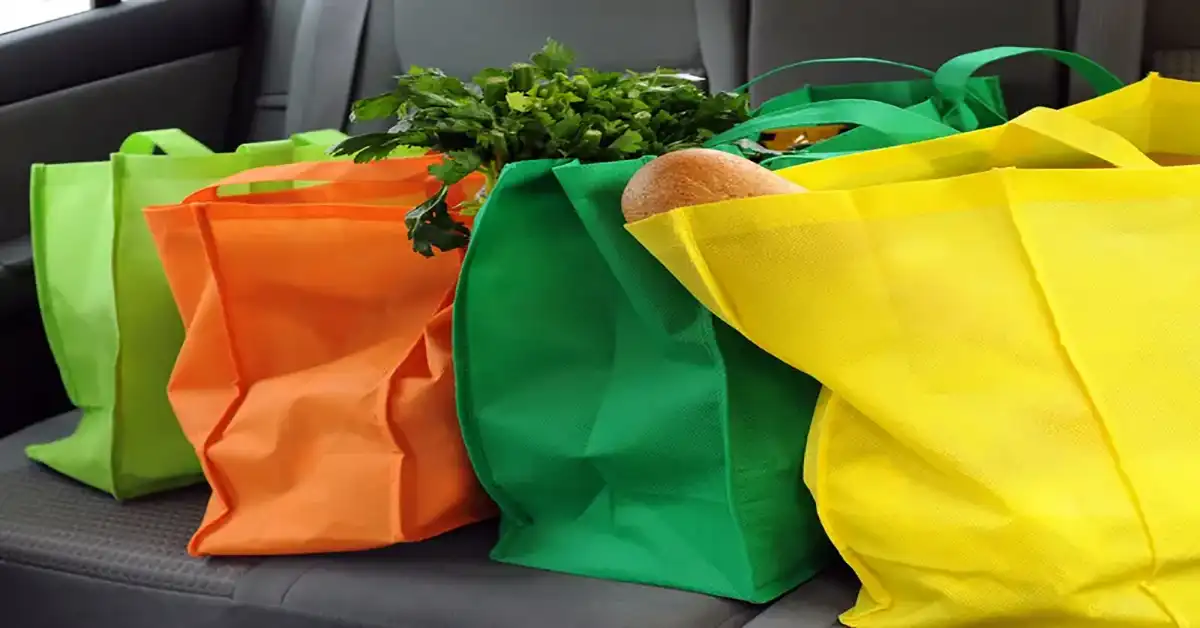 5 Efficient Ways to Store Grocery Bag Until Next Use
