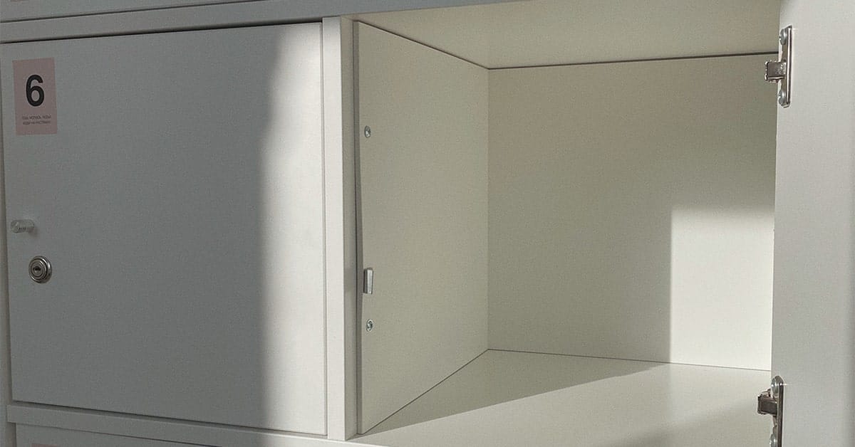 Safe Storage for Businesses | Unveiling Inventory Organization Techniques